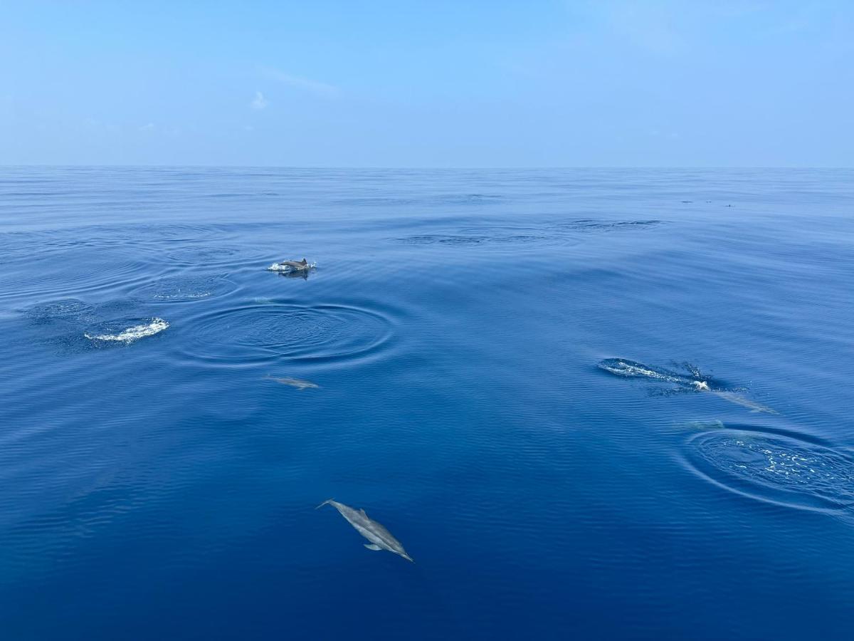 Coco Villa,Ukulhas ภายนอก รูปภาพ