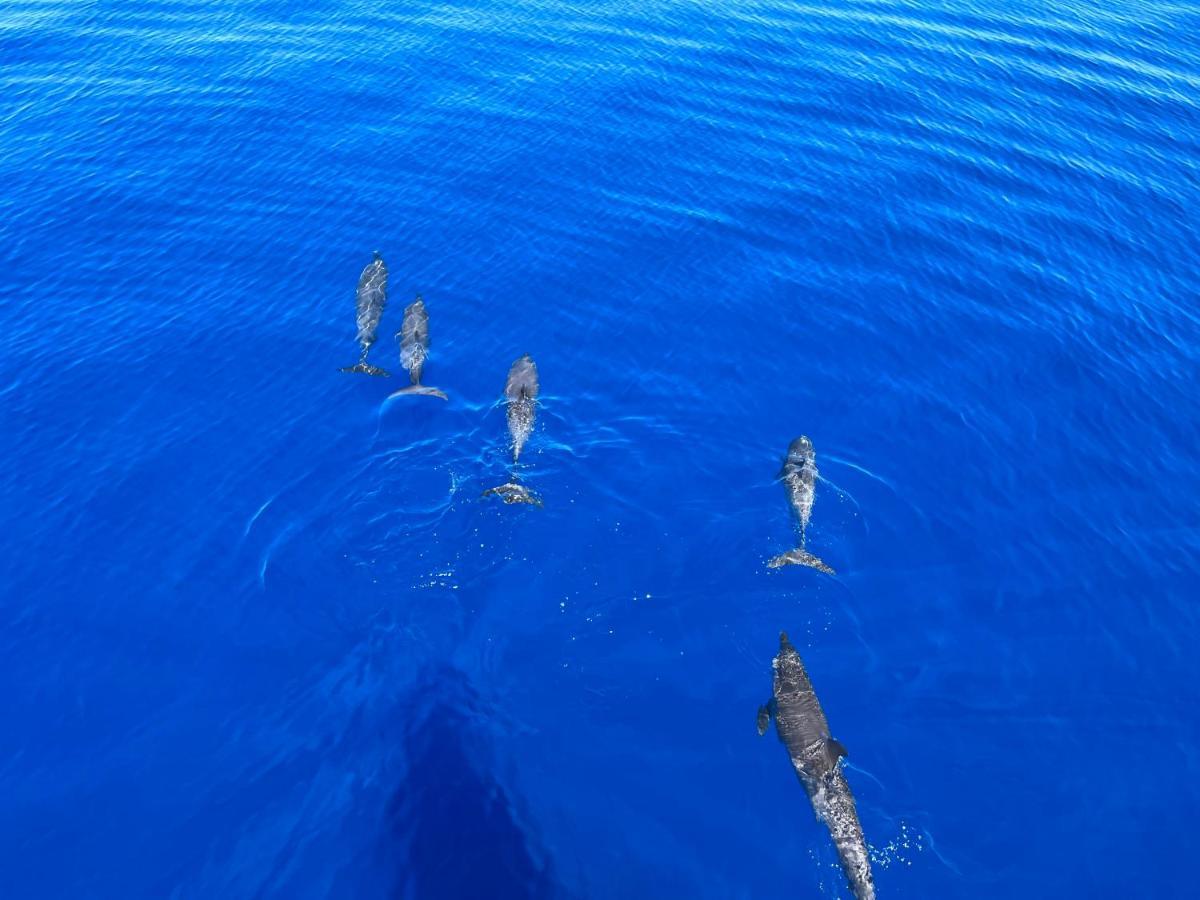 Coco Villa,Ukulhas ภายนอก รูปภาพ